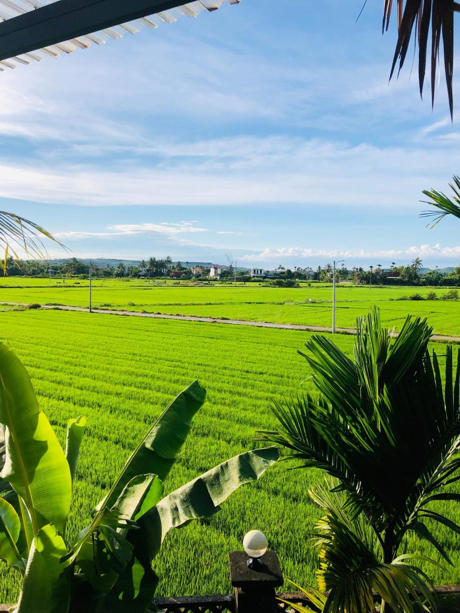 Countryside Homestay Quảng Ngãi Kültér fotó