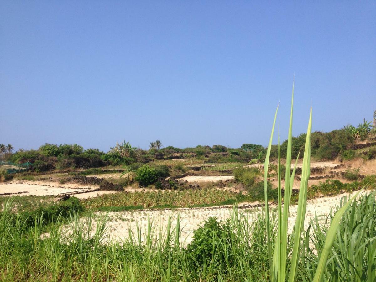 Countryside Homestay Quảng Ngãi Kültér fotó